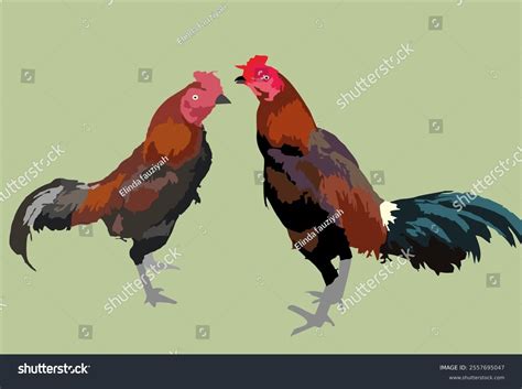 Vector Illustration Two Roosters Fighting Cocks Stock Vector (Royalty ...