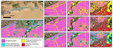 Delineating the Distribution Outline of Populus euphratica in the ...