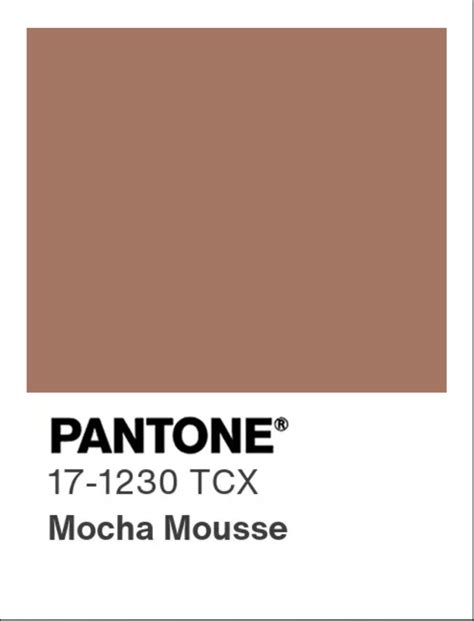 Mocha Mousse: The 2025 Pantone Color of the Year and What It Means for ...
