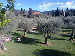 Mafia Mon Amour: A True Story eBook : Tengstreom, Marina Terese: Amazon ...