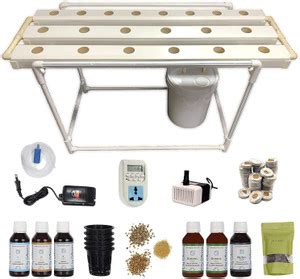 CityGreens NFT Hydroponic System - Outdoor NFT Kit - 18 Plant Container ...