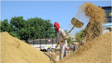 राजस्थान की 247 मंडियों में 4 दिन की हड़ताल क्यों? व्यापारियों की क्या ...