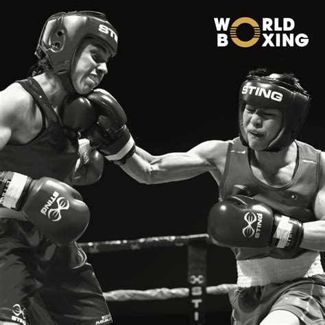Image result for World Boxing