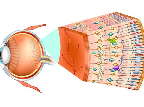 Image result for Vision Code