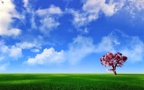 Image result for Basic Computer Graphic