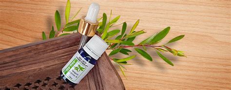 Revitalize Your Hair with the Power of Tea Tree: A Complete Guide ...