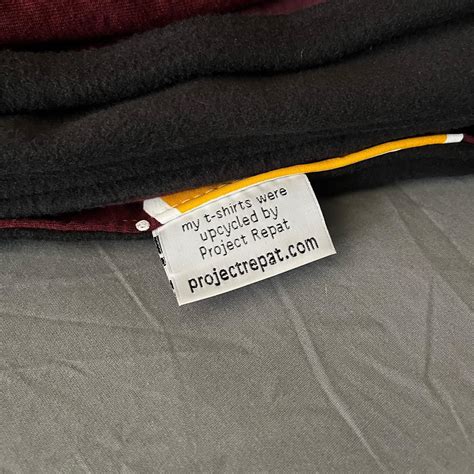 Project Repat 的图像结果