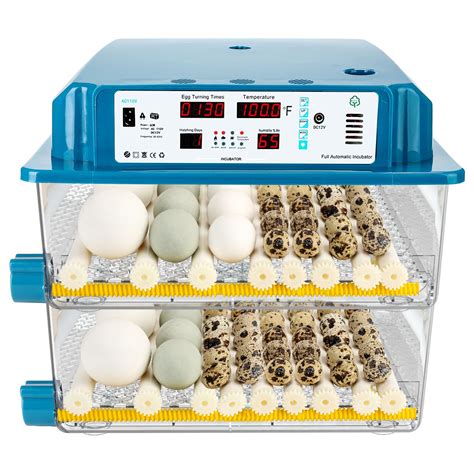 Quail Egg Incubators
