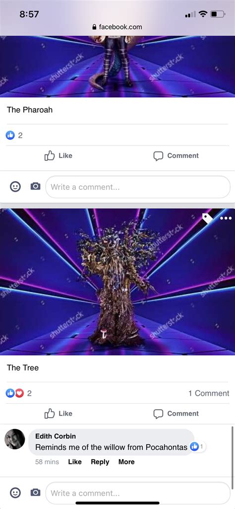 Image result for Masked Singer Tree