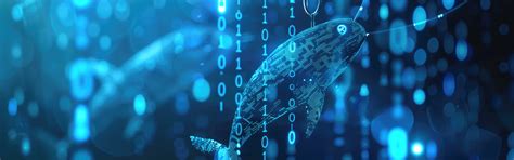 Security notices from M&M Software