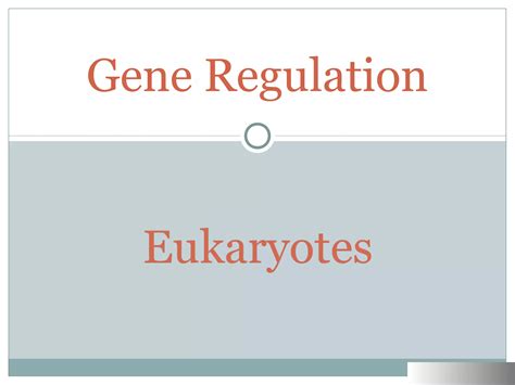 Gene regulation eukaryotes | PPT