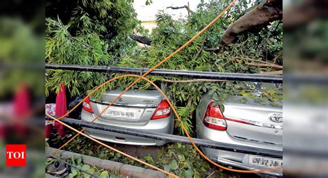 6 cars crushed as winds uproot tree in Lucknow | Lucknow News - Times ...