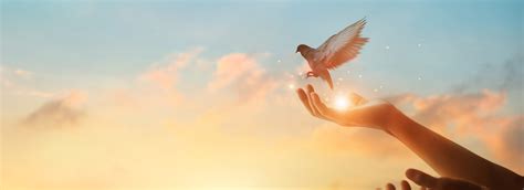 Image result for Hope Def