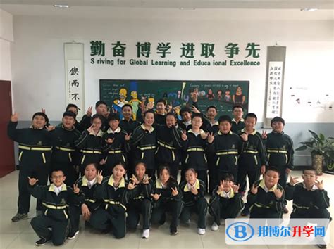 天津泰达枫叶国际学校2023年录取分数线