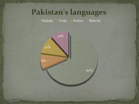 PUNJABI LANGUAGE | PPTX