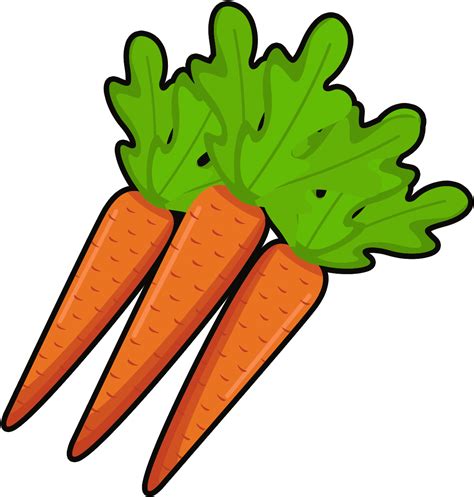 Vegetables Simple Hand Drawn Cartoon Png And Psd - Baby Carrot Clipart ...
