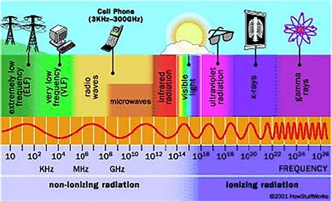 Effects of non-ionizing electromagnetic fields on flora and fauna, Part ...