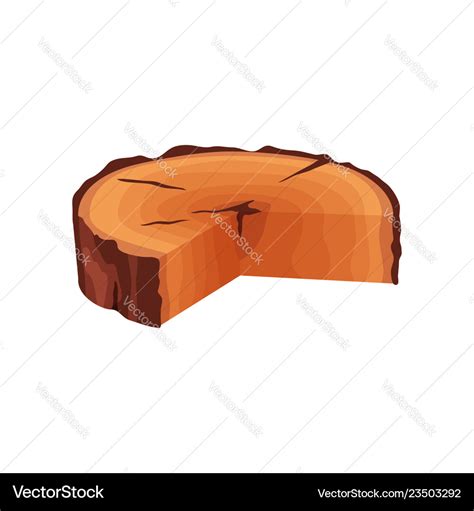 Image result for Tree Ring Cartoon