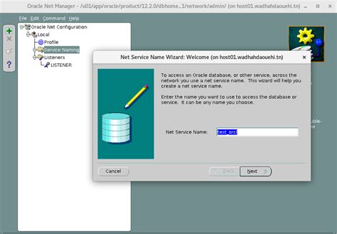 Image result for Oracle Net Manager Problem
