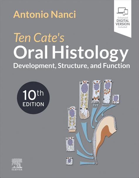 Buy Ten Cate's Oral Histology: Development, Structure, and Function ...