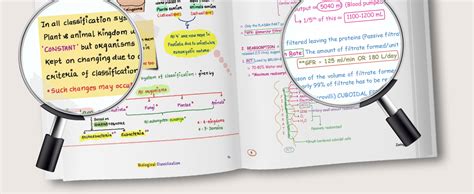 Buy PW Chemistry, Physics, Botany and Zoology Med Easy Handwritten ...