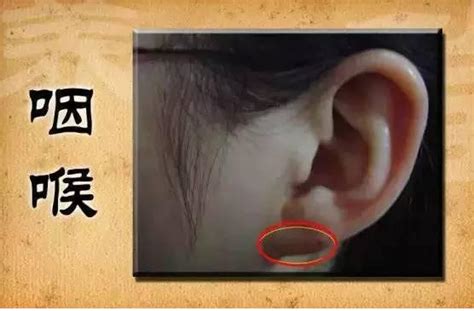 中医诊断：如何通过耳朵来诊断健康