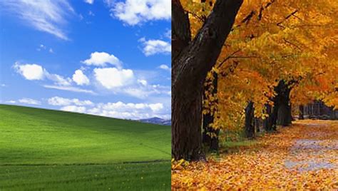 Image result for HTML Language Background