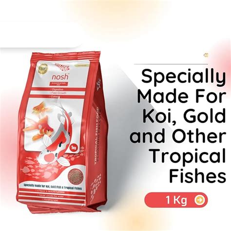 PetzLifeworld Nosh 1Kg Economical Daily Diet Aquarium Fish Food, Speci ...