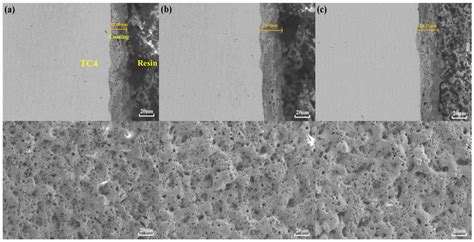 Effect of Ti3SiC2 and Ti3AlC2 Particles on Microstructure and Wear ...