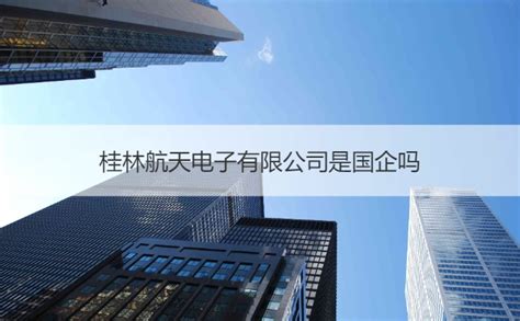 桂林IT技术支持招聘 - 广西桂林利华电子科技有限公司招聘 - 桂聘人才网
