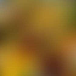 Certified Organic food online: Sanesa Natural Farms