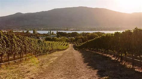 Oliver Osoyoos Wine Country Destination Guide