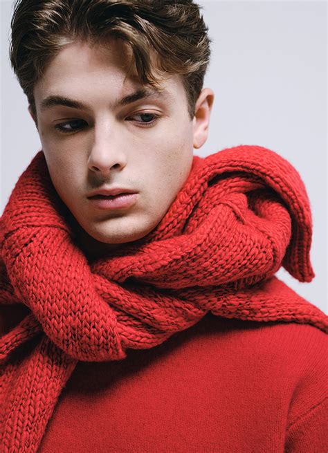 Image result for Bi Modular Distribution