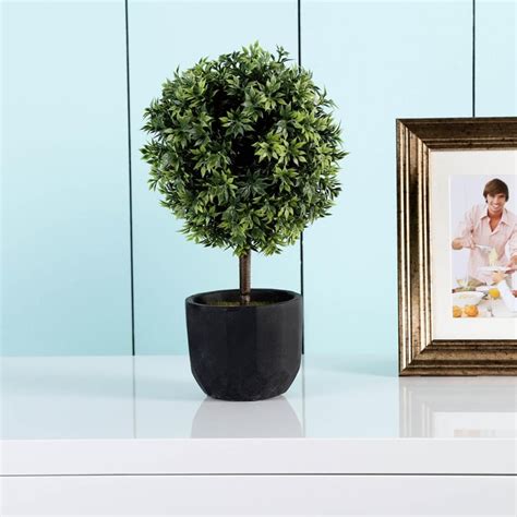 Buy Potted Monochoria Plant from Home Centre at just INR 599.0
