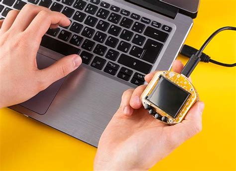 Image result for Virtual Pet Java Code