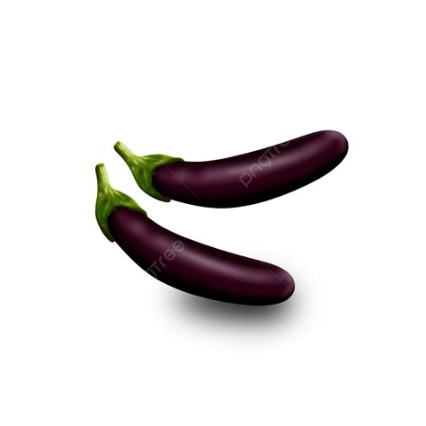 Eggplant Illustration, Eggplant, Eggplant Vegetable, Eggplant Fruit PNG ...