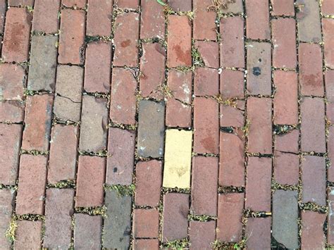 Python Yellow Brick 的图像结果