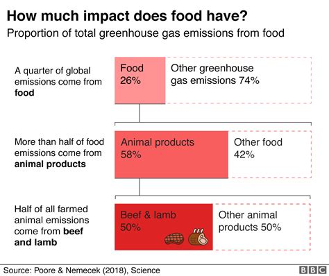 Climate change: What can I do about it and other questions - BBC News