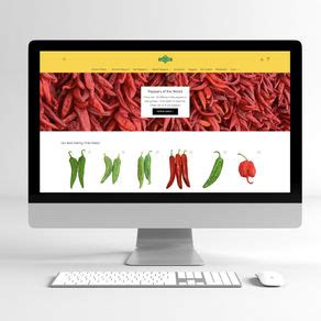 Image result for InDesign Resolution