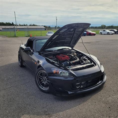 Birding with an E‑M10 Mark IV + Oly 100-400 : r/M43