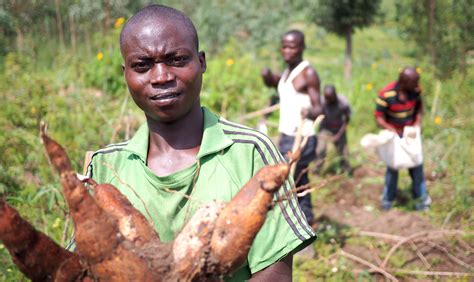 Participación del sector privado y las ONG en el proceso del PAN de Ruanda: experiencias y ...