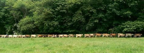 Celebrate National Cheese Lover’s Day with Cato Corner!, Cato Corner ...