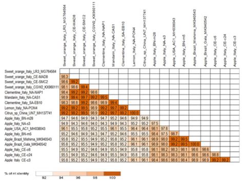 Identification and Characterization of Citrus Concave Gum-Associated ...