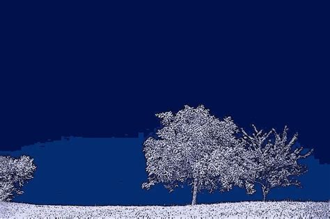 Image result for HTML Python CSS Java Example as Human