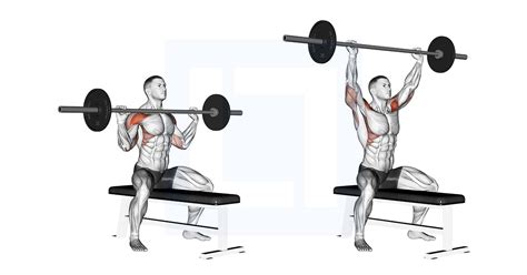 Image result for Work Out Press