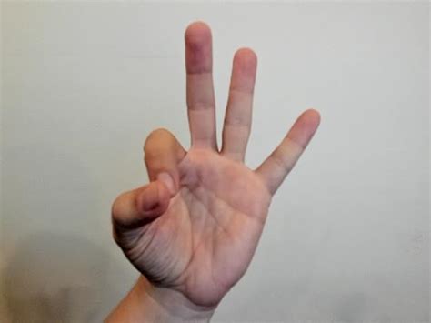 Image result for Win Sign Language