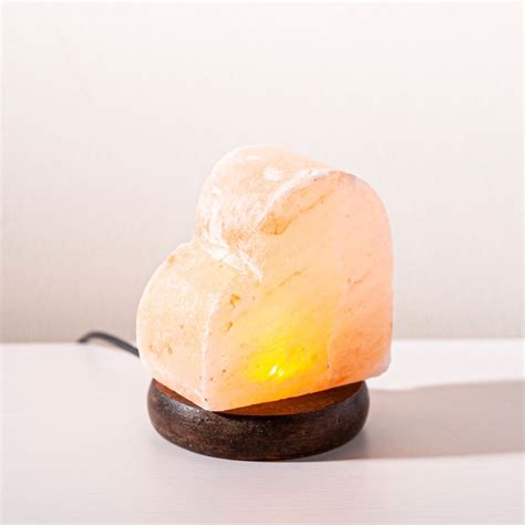 How To Dispose Of A Himalayan Salt Lamp | Storables