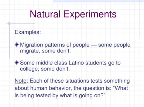 Different Experiments 的图像结果