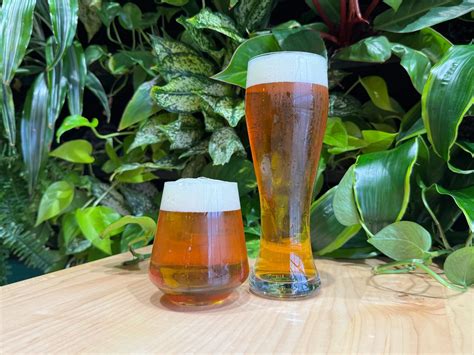 Our Beer — Wandering Leaf Brewing Co.