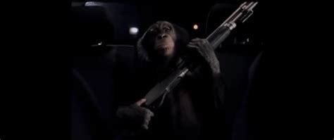 Trunk Monkey : r/Monke